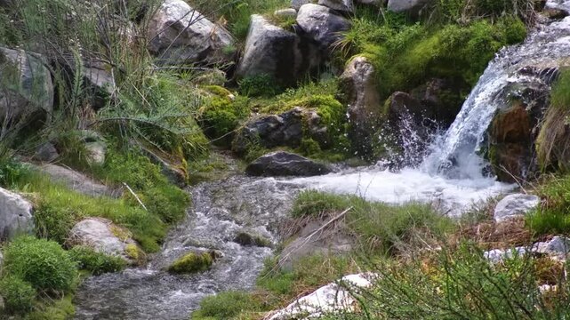 Footage captures a small, serene waterfall or cascade flowing slowly through a rocky, green landscape in Ala Archa National Park, Kyrgyzstan.