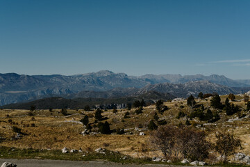 Fototapeta premium Scenic view of the Montenegro mountains under a clear blue sky. Rolling hills with sparse trees and rocky terrain stretch toward the majestic mountain range in the distance.