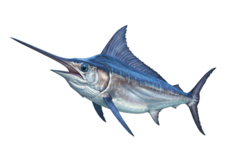 Striking marlin in navy and silver tones poised for a deep dive