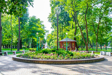 Brest City Park green nature art and landscape in Belarus.