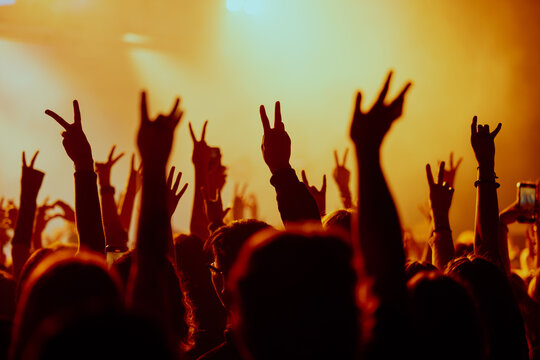 crowd at concert