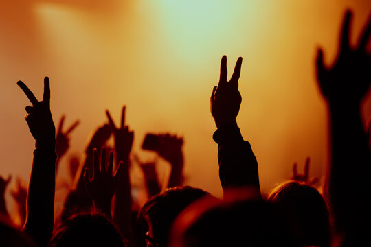 people at the concert