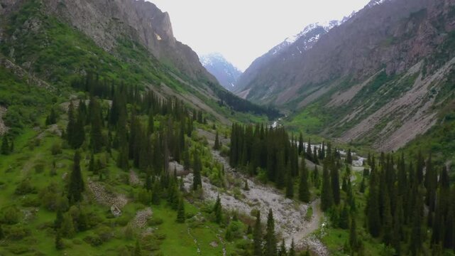 Aerial footage captures the alpine trees in a valley surrounded by majestic mountains and drifting clouds in Ala Archa National Park, Kyrgyzstan.
