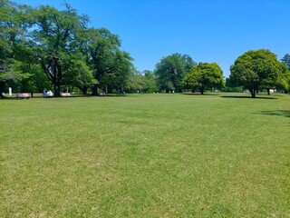 新緑の季節の芝生広場