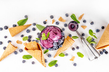 Blueberry rich creamy sorbet, tasty blueberry fruit ice cream with fresh berries, mint leaves and...