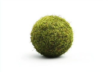 Spherical moss ball