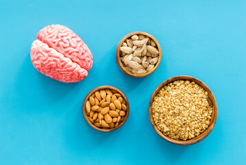 Healthy food for the brain. Human brain model with nuts and grain, top view