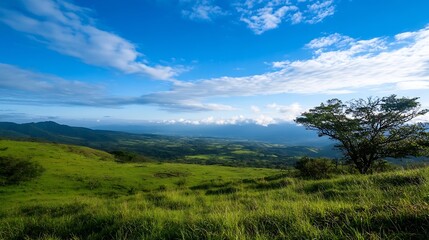 Obraz premium Serene vista of a vast green pasture, rolling hills, and a lone tree under a vibrant blue sky dotted with fluffy white clouds. A picturesque landscape photo ideal for travel, nature, a : Generative AI