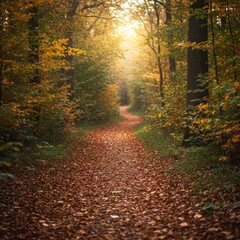Obraz premium Autumn Forest Path with Golden Sunlight and Red Brown Leaves