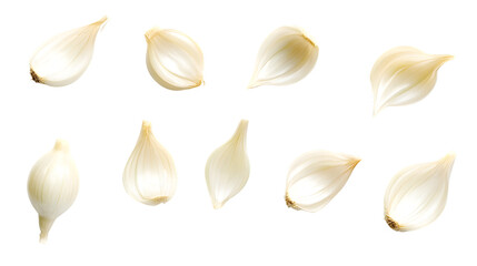 Fototapeta premium Fresh Onion Isolated on White Background for Culinary Designs