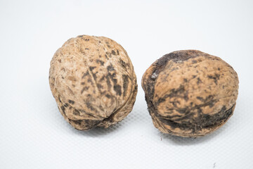 Two whole walnuts resting on a white surface displaying their natural texture and shape