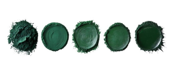 Pack of Green Paint Swatches Texture Color and Shades set against transparent background