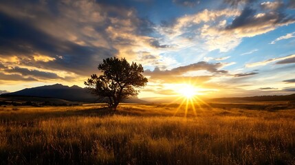 Lone tree silhouetted against a vibrant sunset over a golden prairie, mountains in the distance, showcasing a dramatic sky with colorful clouds. : Generative AI