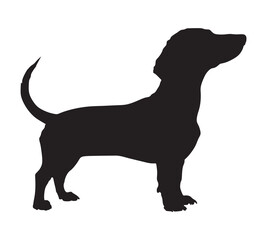 Dachshund Dog silhouette.