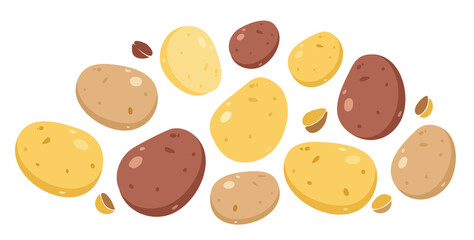 Fototapeta premium Illustration collection of colorful potatoes arranged and artistically cut open.