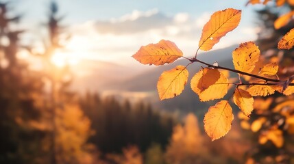Golden autumn leaves on a branch, backlit by the setting sun, with a blurred background of a forest and mountains. : Generative AI