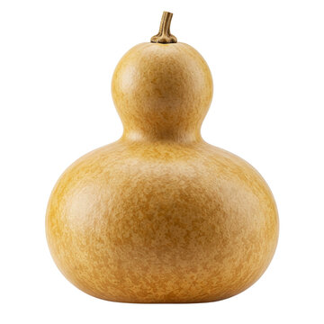 Calabash Bottle Gourd Isolated on Transparent Background
