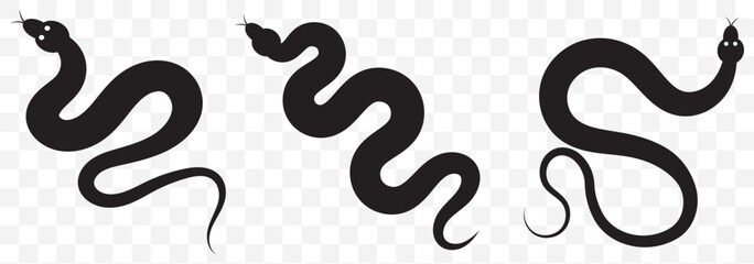 Black Silhouettes of  Three Snakes in Different Postures on Transparent Background. EPS 10.