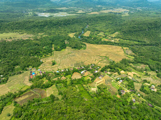 Harmony of Village, Fields, and Forest