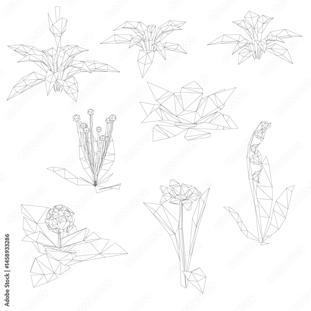 Poster a series of drawings of flowers in black and white. the drawings vary in size and style, but all fea