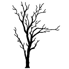 Tree Silhouette Set