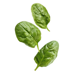 Fototapeta premium Fresh spinach leaves on a white isolated background, showcasing their rich green color and crisp texture, perfect for healthy recipes and culinary presentations.