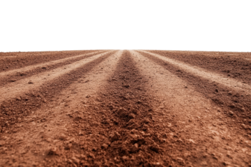 Earth's Canvas: A low-angle perspective showcases the intricate patterns and textures of freshly tilled farmland, evoking anticipation of new beginnings and the promise of a bountiful harvest. 