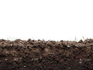 Soil Cross Section: Revealing the earth's intricate layers, this image captures a cross-section of rich, fertile soil with emerging plant life.