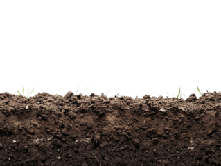 Soil Cross Section: Revealing the earth's intricate layers, this image captures a cross-section of rich, fertile soil with emerging plant life.