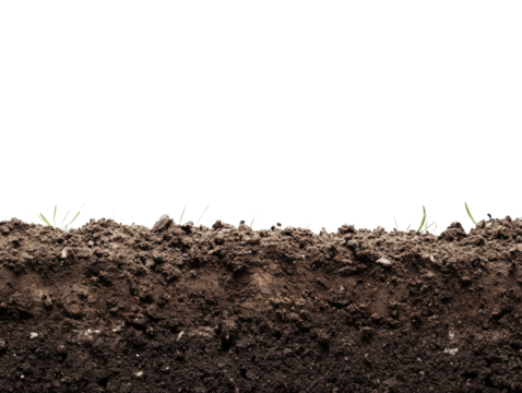 Soil Cross Section: Revealing the earth's intricate layers, this image captures a cross-section of rich, fertile soil with emerging plant life.