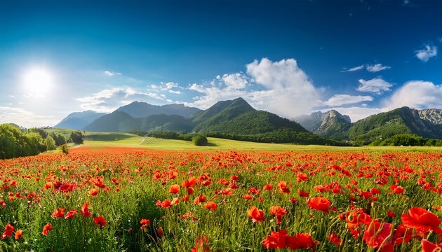 beautiful poppy field in summer green grass and mountains on background sunny day colorful landscape with red flowers blue sky with clouds warm colors bright sunny light - Powered by Adobe