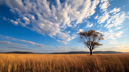 Obraz premium Solitary tree stands in a golden field under a vast, blue sky filled with fluffy white clouds, creating a serene and peaceful landscape. : Generative AI