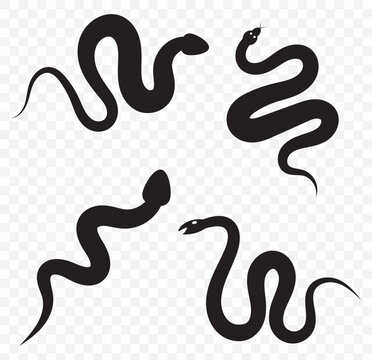 Black Silhouettes of  Four Snakes in Different Postures on Transparent Background. EPS 10.