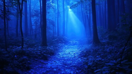 Mystical blue forest path