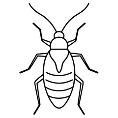 Elegant Aphid Line Drawing