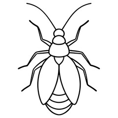 Elegant Aphid Line Drawing