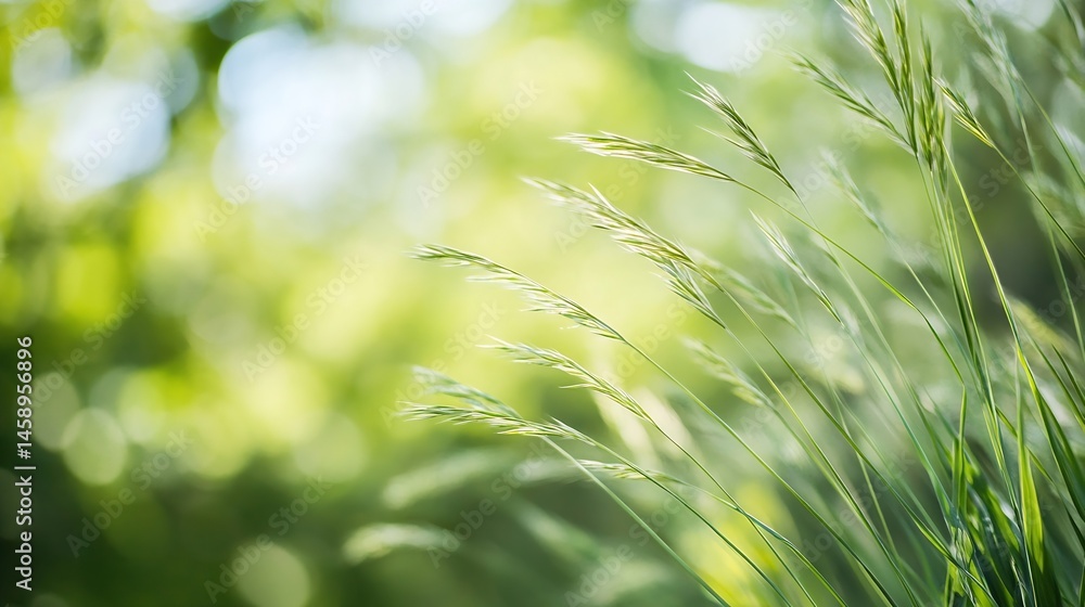 Poster close-up view of delicate green grass blades gently swaying in a soft, sunlit meadow, creating a ser