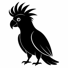 Elegant Black Cockatoo Outline