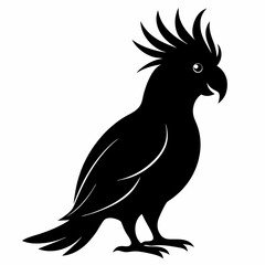 Elegant Black Cockatoo Outline