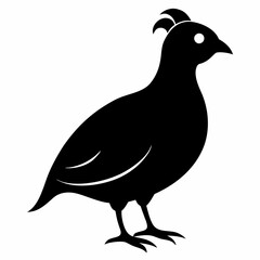 Elegant Black Quail Silhouette Art
