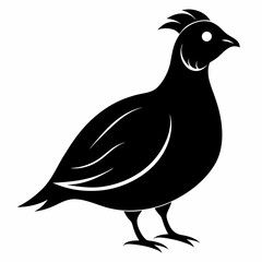 Elegant Black Quail Silhouette Art