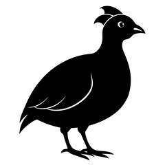 Elegant Black Quail Silhouette Art