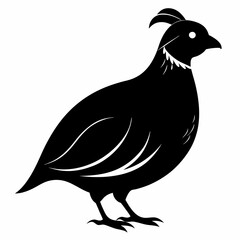 Elegant Black Quail Silhouette Art