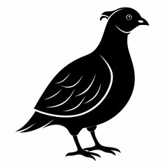 Elegant Black Quail Silhouette Art