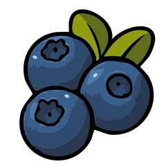 Heildebeeren Blaubeeren Icon