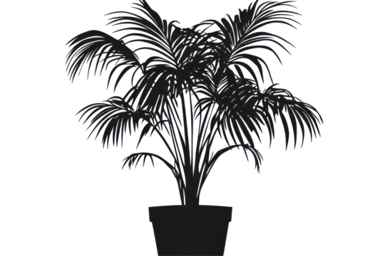 A potted areca palm silhouette adds tropical elegance and modern greenery to any design space