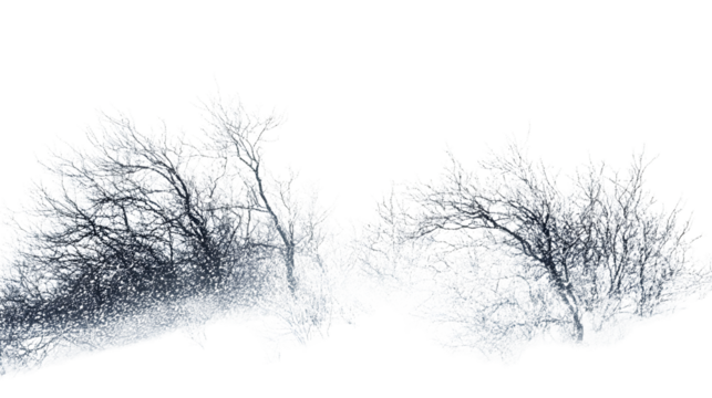 Abstract Snow Backgrounds Isolated Outdoors White