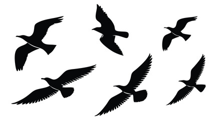 Obraz premium Flying Bird Silhouettes Collection – Vector Set of Birds in Flight on White Background
