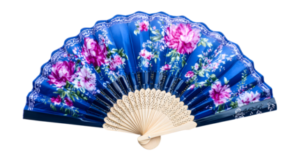 Elegant Traditional Folding Hand Fan Isolated on White Background