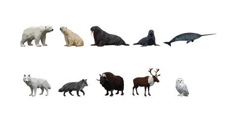 Arctic Animal Silhouettes � Polar Bear, Seal, Whale, Snowy Owl & Cold Climate Wildlife Vector Art